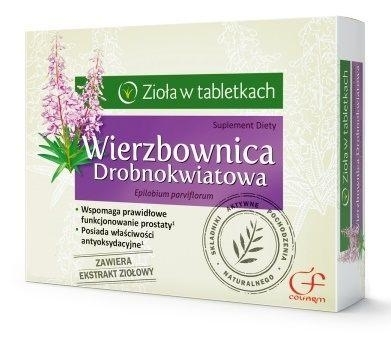 Zdjęcie Wierzbownica drobnokwiatowa  60tabl.